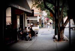 Athens, Georgia; "The campus is bordered by the lunatic fringe..."